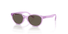 [Brown Lenses, Polished Transparent Violet Frame]