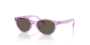 Brown Lenses, Polished Transparent Violet Frame