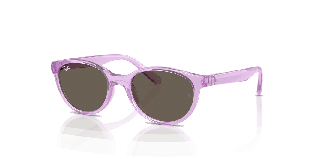 [Brown Lenses, Polished Transparent Violet Frame]