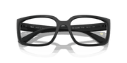 Clear Lenses, Matte Black Frame