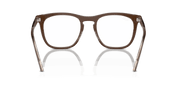 Clear Lenses, Polished Brown On Transparent Light Brown Frame