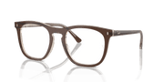 Clear Lenses, Polished Brown On Transparent Light Brown Frame