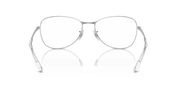 Clear Lenses, Polished Silver Frame