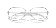 Clear Lenses, Polished Silver Frame