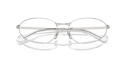 Clear Lenses, Polished Silver Frame