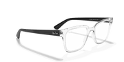 Clear Lenses, Polished Transparent Frame