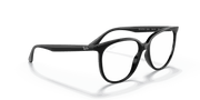 Clear Lenses, Polished Black Frame