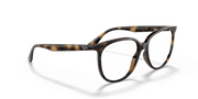 Clear Lenses, Polished Havana Frame