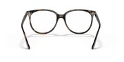 Clear Lenses, Polished Havana Frame