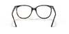 [Clear Lenses, Polished Havana Frame]