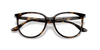 [Clear Lenses, Polished Havana Frame]