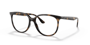 Clear Lenses, Polished Havana Frame