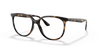 [Clear Lenses, Polished Havana Frame]