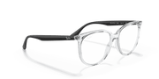 Clear Lenses, Polished Transparent Frame