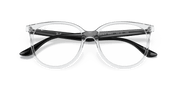 Clear Lenses, Polished Transparent Frame