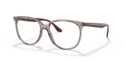 Clear Lenses, Polished Transparent Grey Frame