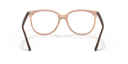 Clear Lenses, Polished Transparent Brown Frame