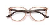 Clear Lenses, Polished Transparent Brown Frame