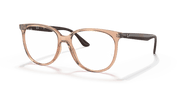 Clear Lenses, Polished Transparent Brown Frame