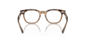 Clear Lenses, Polished Havana On Transparent Frame