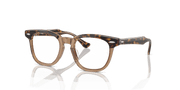 Clear Lenses, Polished Havana On Transparent Frame