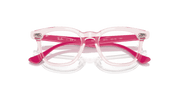 Clear Lenses, Polished Transparent Pink Frame