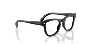 Clear Lenses, Polished Black Frame