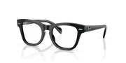 Clear Lenses, Polished Black Frame