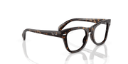 Clear Lenses, Polished Havana Frame