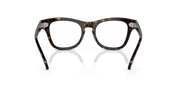 Clear Lenses, Polished Havana Frame