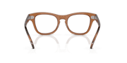 Clear Lenses, Polished Transparent Brown Frame