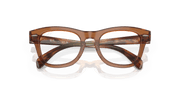 Clear Lenses, Polished Transparent Brown Frame