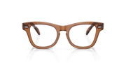 Clear Lenses, Polished Transparent Brown Frame