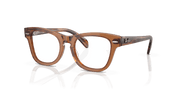 Clear Lenses, Polished Transparent Brown Frame