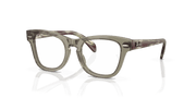 Clear Lenses, Polished Transparent Green Frame