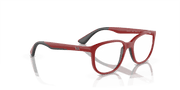 Clear Lenses, Polished Red On Black Frame