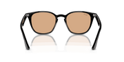 Brown Lenses, Polished Black Frame