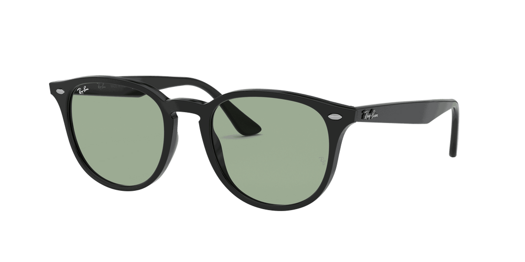 [Light Green Classic Lenses, Polished Black Frame]