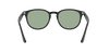 [Light Green Classic Lenses, Polished Black Frame]