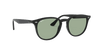 [Light Green Classic Lenses, Polished Black Frame]