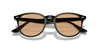 [Brown Lenses, Polished Black Frame]