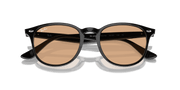 Brown Lenses, Polished Black Frame