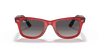 [Grey Lenses, Polished Transparent Red Frame]