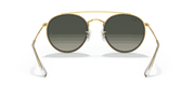 Grey Gradient Lenses, Polished Gold Frame