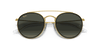 [Grey Gradient Lenses, Polished Gold Frame]