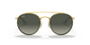 [Grey Gradient Lenses, Polished Gold Frame]