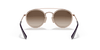 [Gradient Brown Lenses, Polished Light Brown Frame]