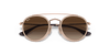 [Gradient Brown Lenses, Polished Light Brown Frame]