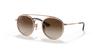 [Gradient Brown Lenses, Polished Light Brown Frame]