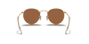 [Brown Lenses, Matte Gold Frame]